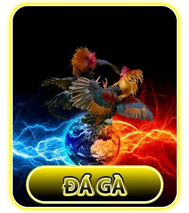 Đá gà Tipclub